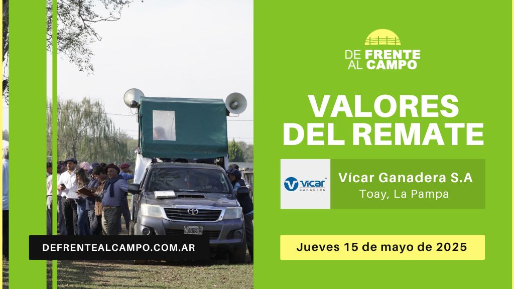Valores del remate de Vicar Ganadera S.A. | Toay | Jueves 15/05/2025