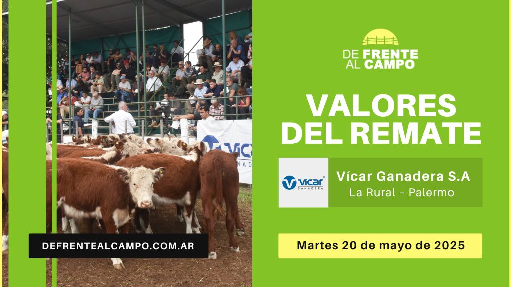 Valores del remate de Vicar Ganadera S.A. | La Rural – Palermo | Martes 20/05/2025