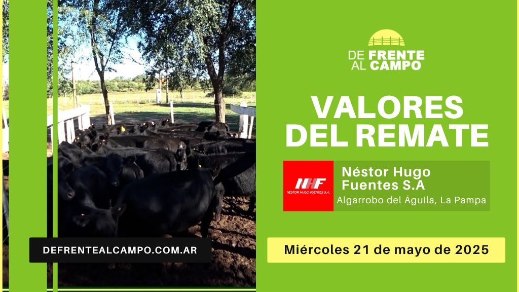 Valores del remate de Néstor Hugo Fuentes S.A. | Algarrobo del Águila | 21/05/2025