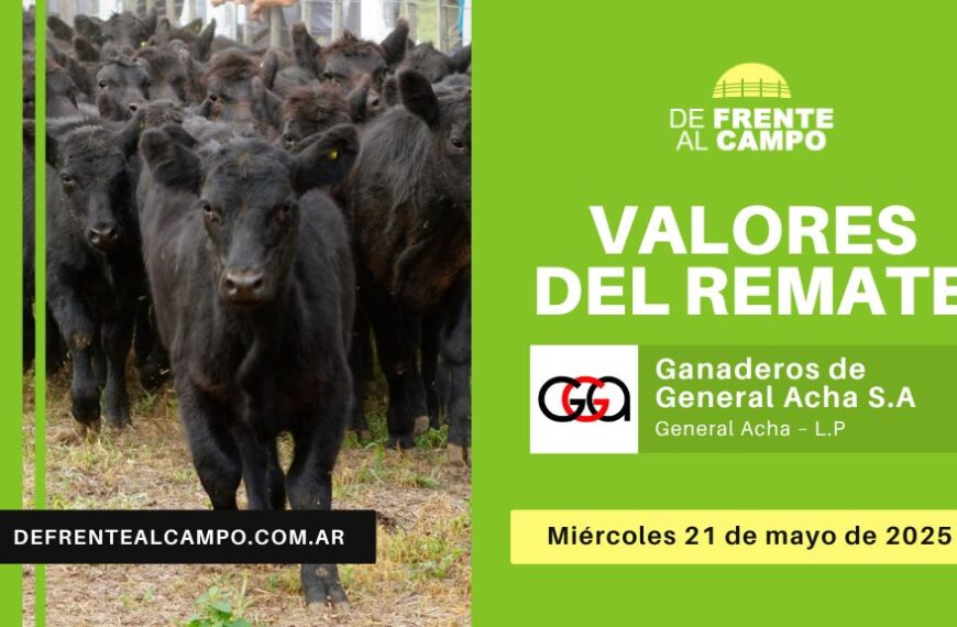 Valores del remate de Ganaderos de General Acha S.A. | General Acha, La Pampa | Miércoles 21/05/2025