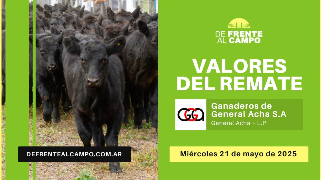 Valores del remate de Ganaderos de General Acha S.A. | General Acha, La Pampa | Miércoles 21/05/2025