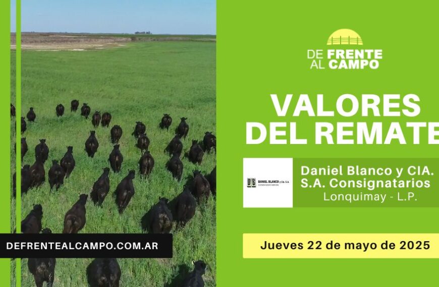 Valores del remate de Daniel Blanco y Cía S.A. | La Pampa, Lonquimay | Jueves 22/05/2025