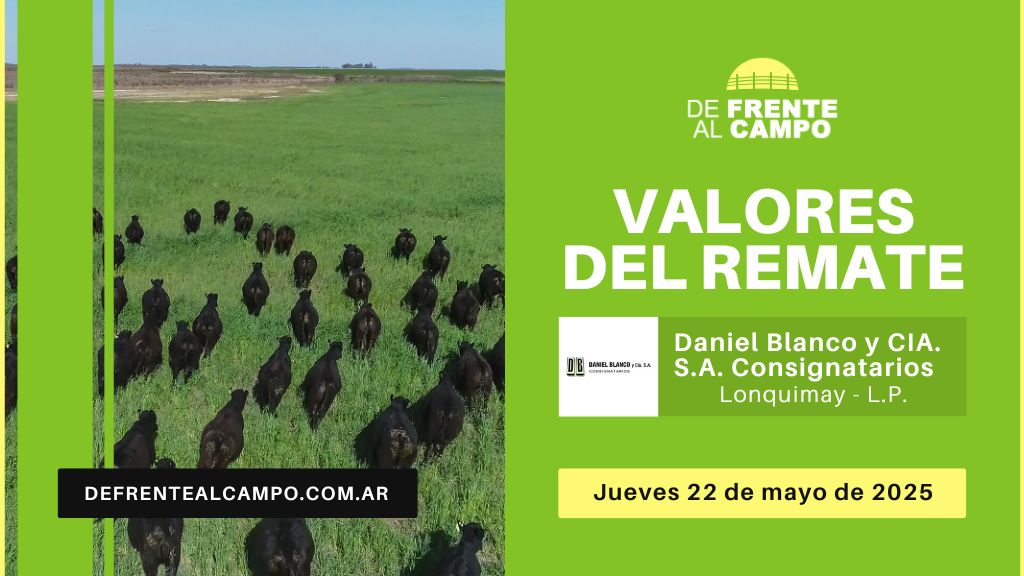 Valores del remate de Daniel Blanco y Cía S.A. | La Pampa, Lonquimay | Jueves 22/05/2025
