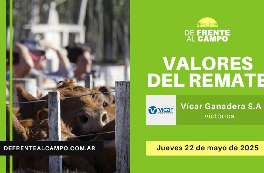 Valores del remate de Vicar Ganadera S.A. | Victorica, La Pampa | Jueves 22/05/2025