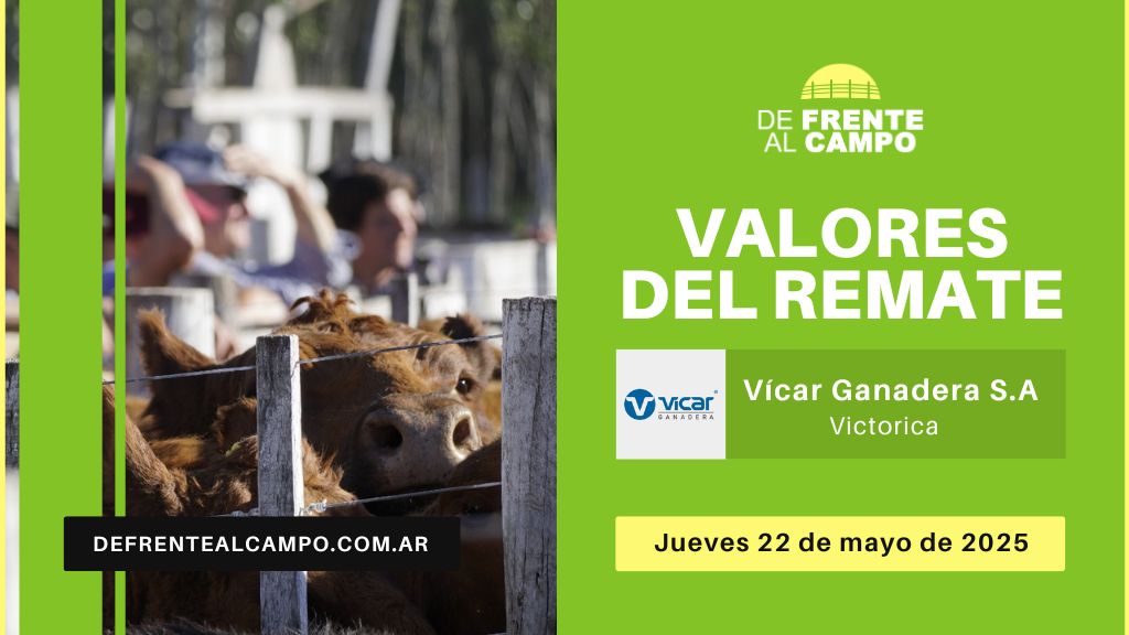 Valores del remate de Vicar Ganadera S.A. | Victorica, La Pampa | Jueves 22/05/2025