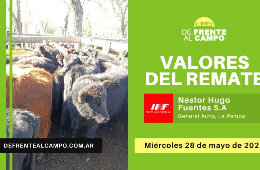 Valores del remate de Néstor Hugo Fuentes S.A. | General Acha | 28/05/2025
