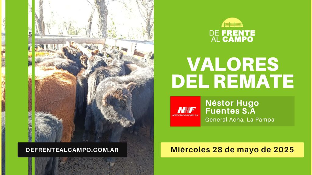 Valores del remate de Néstor Hugo Fuentes S.A. | General Acha | 28/05/2025