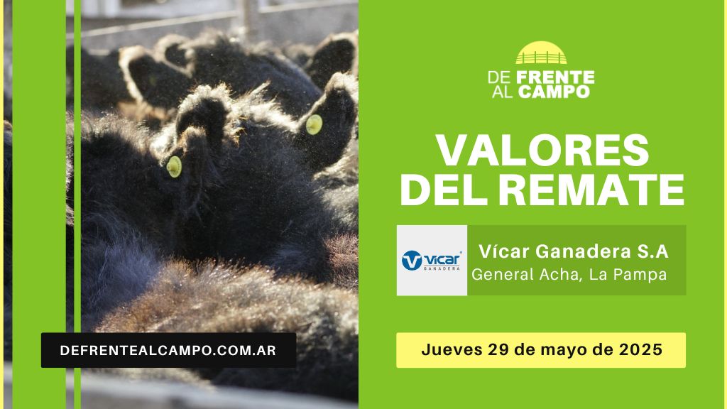 Valores del remate de Vicar Ganadera S.A. | General Acha | Jueves 29/05/2025