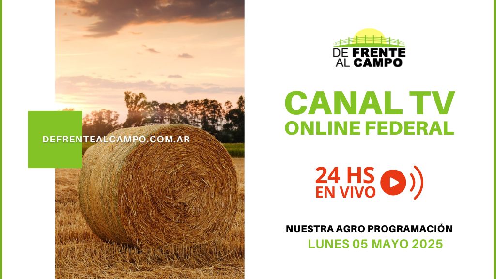 DFC – Canal 3 / Directv (Canal 139 L.P.) – Lunes 05 / Mayo / 2025