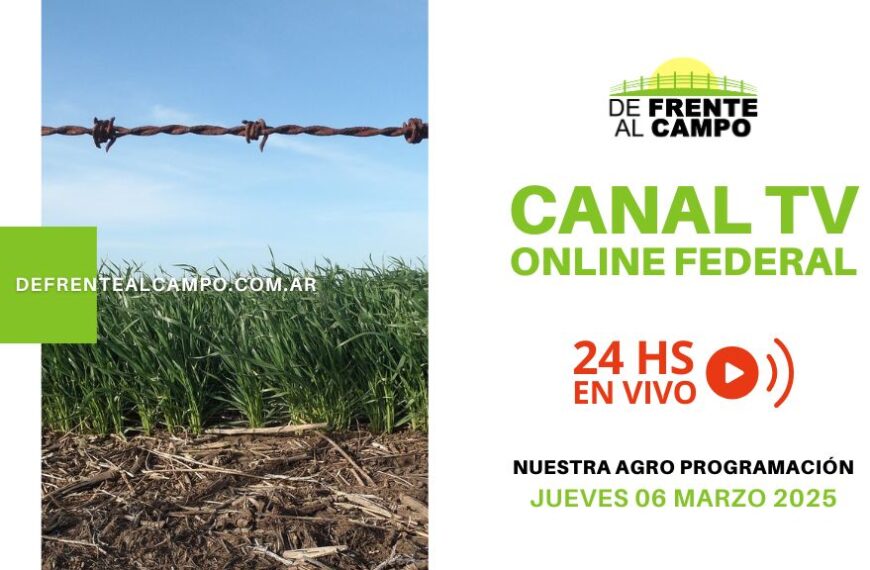 DFC – Canal 3 / Directv (Canal 139 L.P.) – Jueves 06 / Marzo / 2025