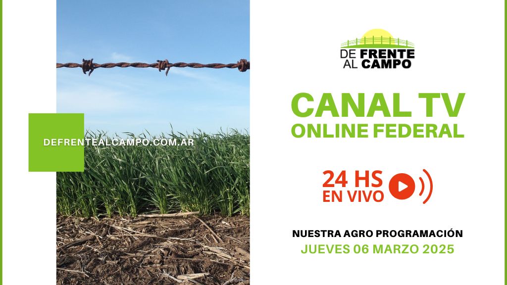 DFC – Canal 3 / Directv (Canal 139 L.P.) – Martes 25 / Febrero / 2025