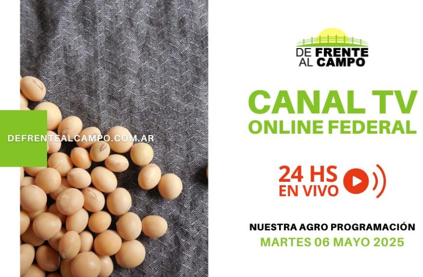 DFC – Canal 3 / Directv (Canal 139 L.P.) – Martes 06 / Mayo / 2025