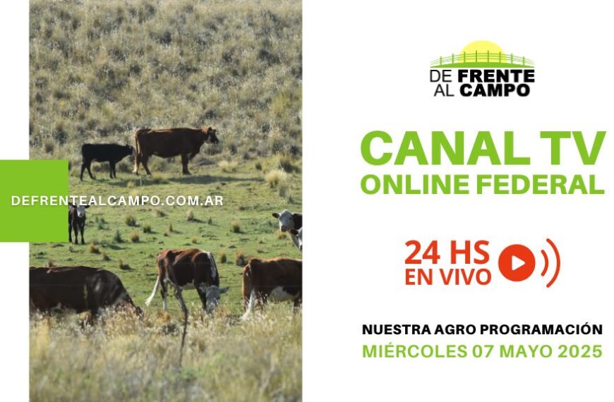 DFC – Canal 3 / Directv (Canal 139 L.P.) – Miércoles 07 / Mayo / 2025
