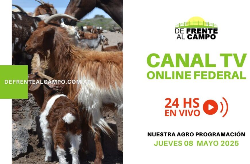 DFC – Canal 3 / Directv (Canal 139 L.P.) – Jueves 08 / Mayo / 2025