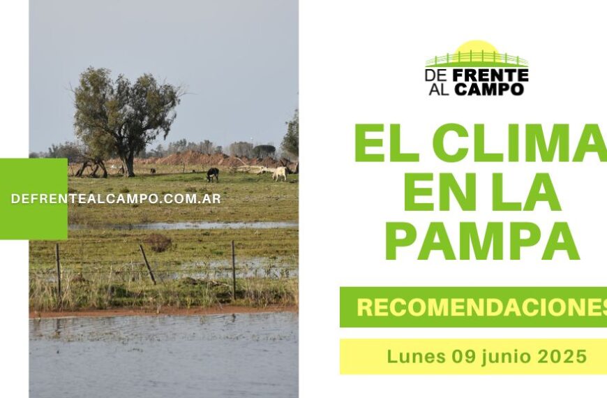 Mañana fría, humedad alta y hasta 18 °C: precaución por bruma y aire insalubre en La Pampa (Lunes 9 de junio 2025)