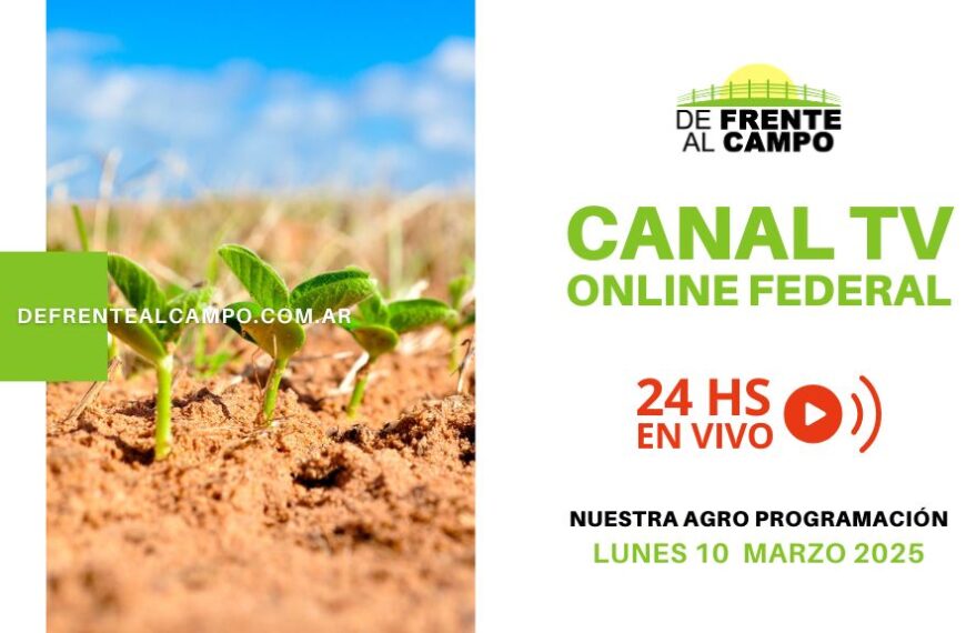 DFC – Canal 3 / Directv (Canal 139 L.P.) – Lunes 10 / Marzo / 2025
