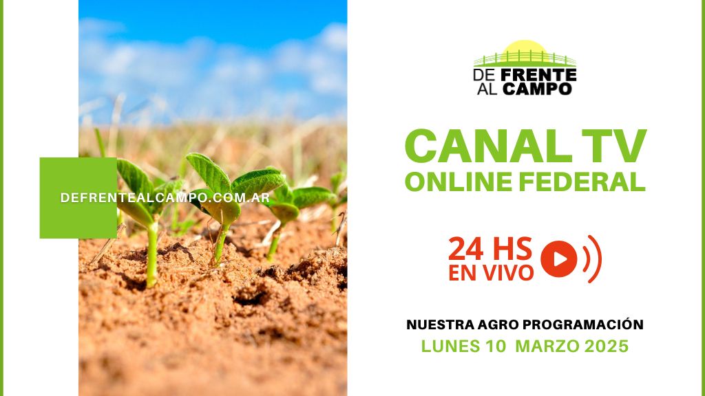 DFC – Canal 3 / Directv (Canal 139 L.P.) – Lunes 10 / Marzo / 2025
