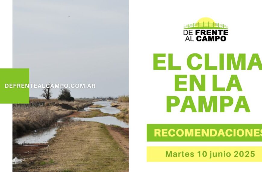 La Pampa: Máxima de 18°C y Vientos del Norte, con Alta Humedad y Alerta por Calidad del Aire (Martes 10 de junio de 2025)