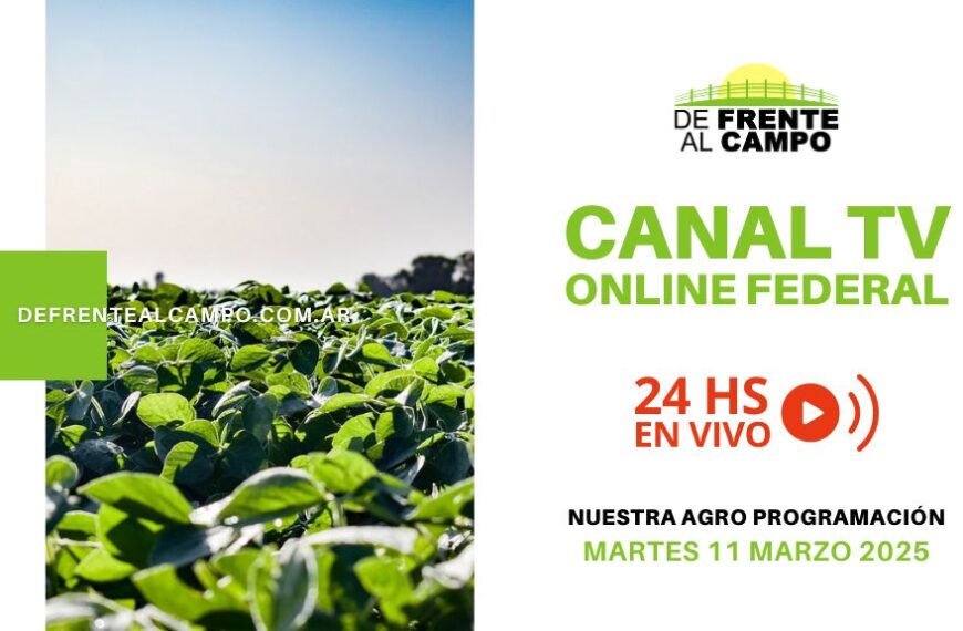 DFC – Canal 3 / Directv (Canal 139 L.P.) – Martes 11 / Marzo / 2025