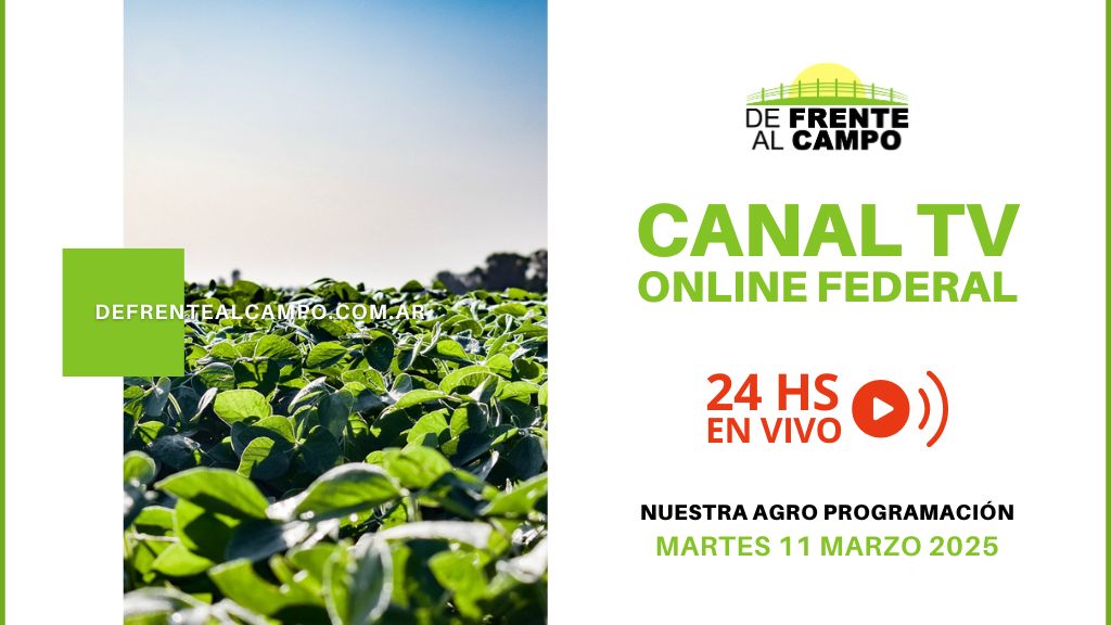 DFC – Canal 3 / Directv (Canal 139 L.P.) – Martes 11 / Marzo / 2025