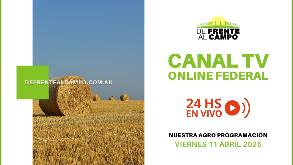 DFC – Canal 3 / Directv (Canal 139 L.P.) – Viernes 11 / Abril / 2025
