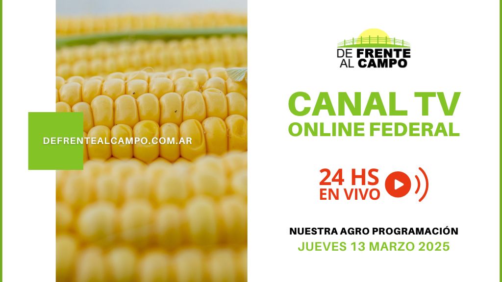 DFC – Canal 3 / Directv (Canal 139 L.P.) – Jueves 13 / Marzo / 2025