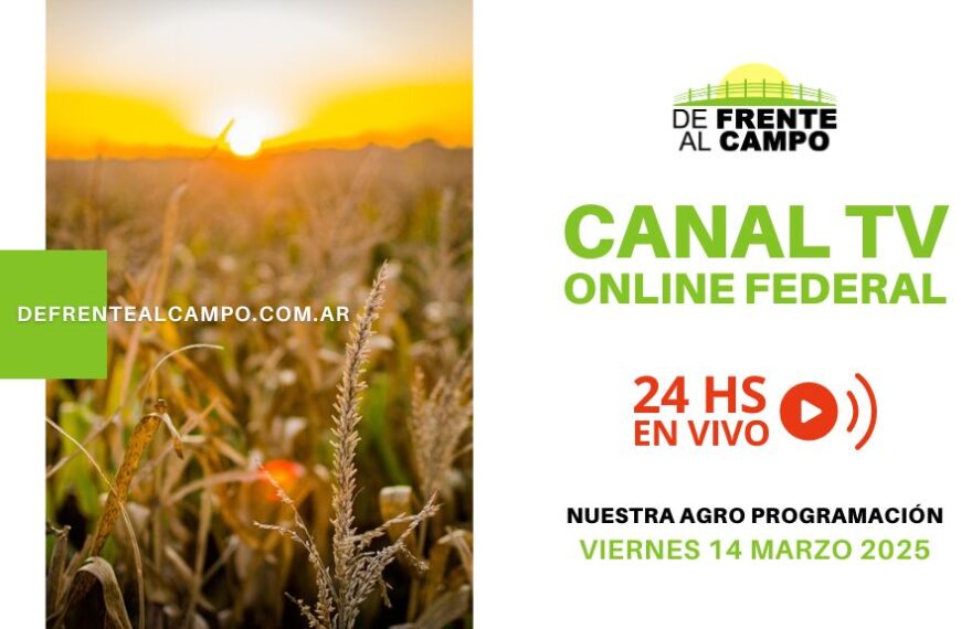 DFC – Canal 3 / Directv (Canal 139 L.P.) – Viernes 14 / Marzo / 2025