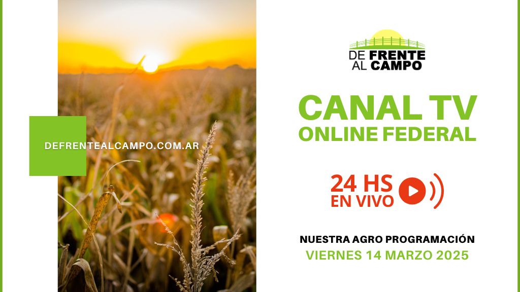 DFC – Canal 3 / Directv (Canal 139 L.P.) – Viernes 14 / Marzo / 2025