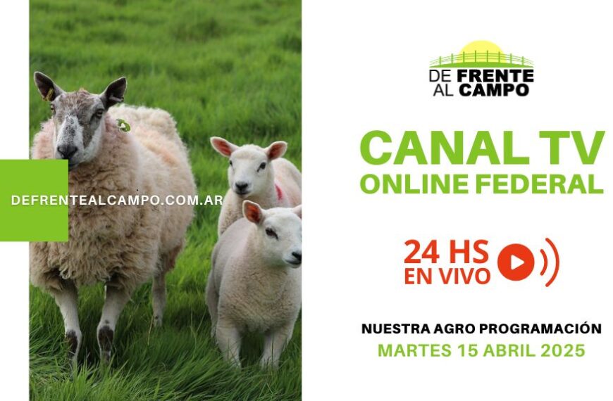 DFC – Canal 3 / Directv (Canal 139 L.P.) – Martes 15 / Abril / 2025
