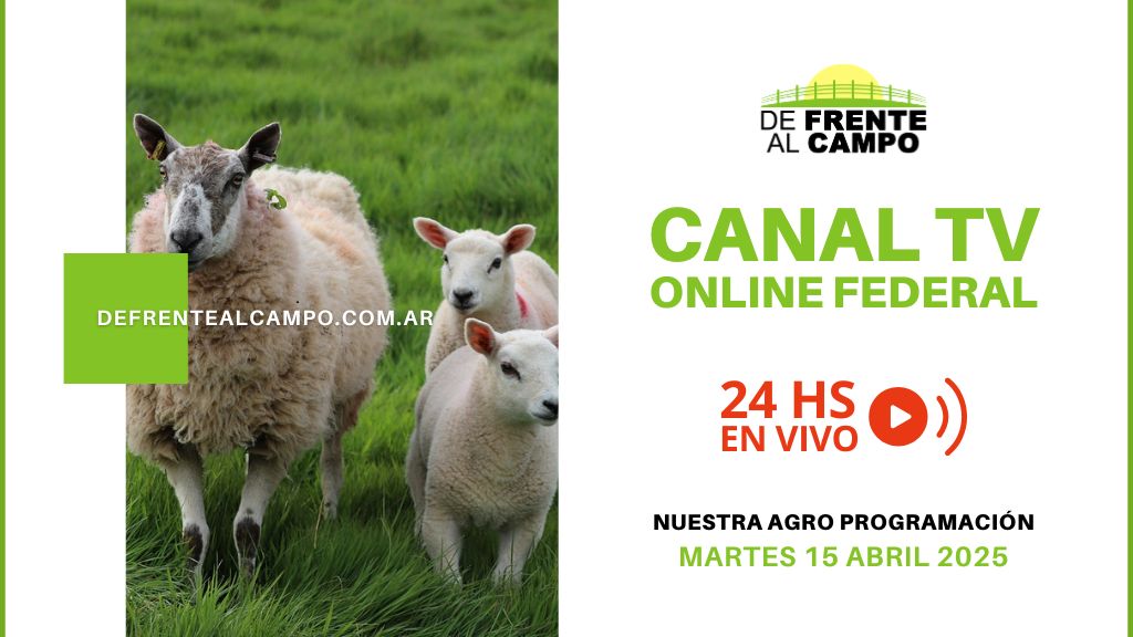 DFC – Canal 3 / Directv (Canal 139 L.P.) – Martes 15 / Abril / 2025