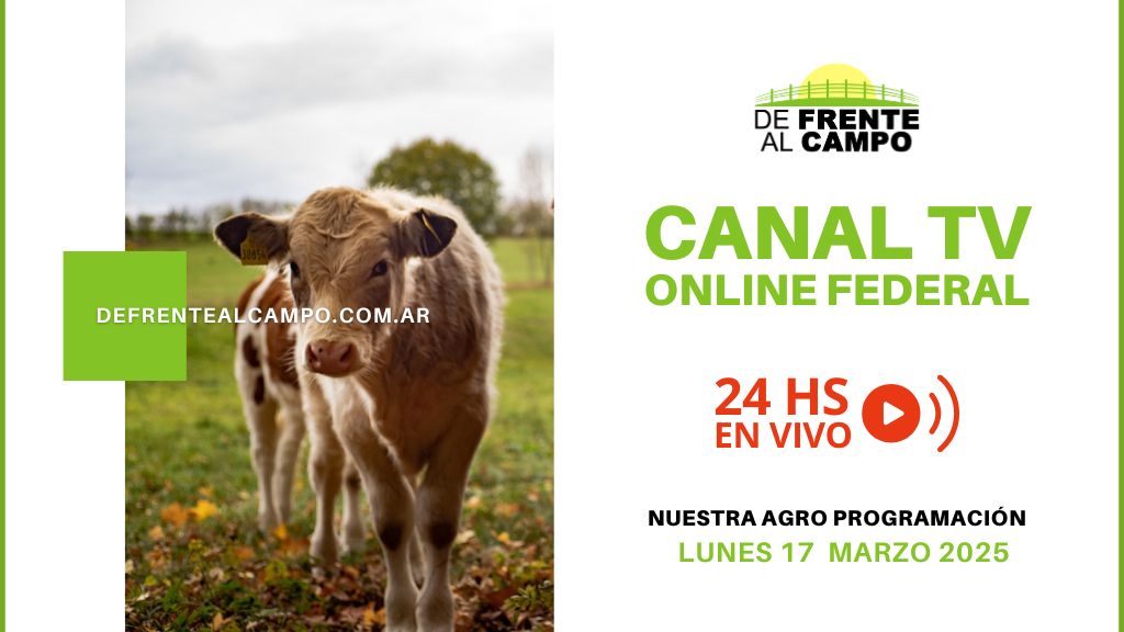 DFC – Canal 3 / Directv (Canal 139 L.P.) – Lunes 17 / Marzo / 2025