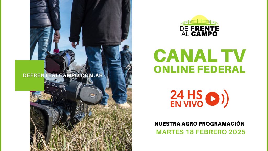 DFC – Canal 3 / Directv (Canal 139 L.P.) – Martes 18 / Febrero / 2025