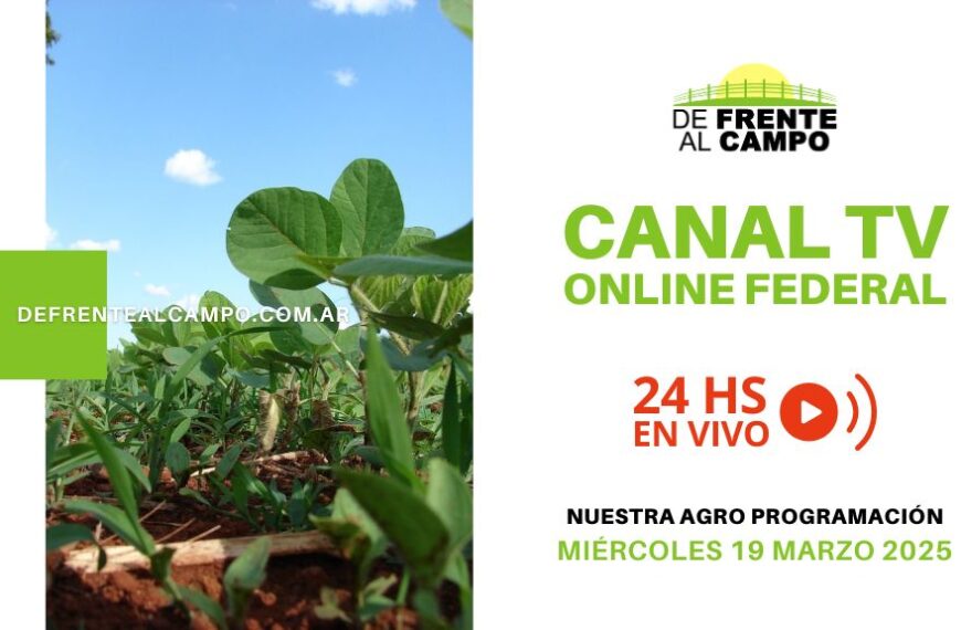 DFC – Canal 3 / Directv (Canal 139 L.P.) – Miércoles 19 / Marzo / 2025