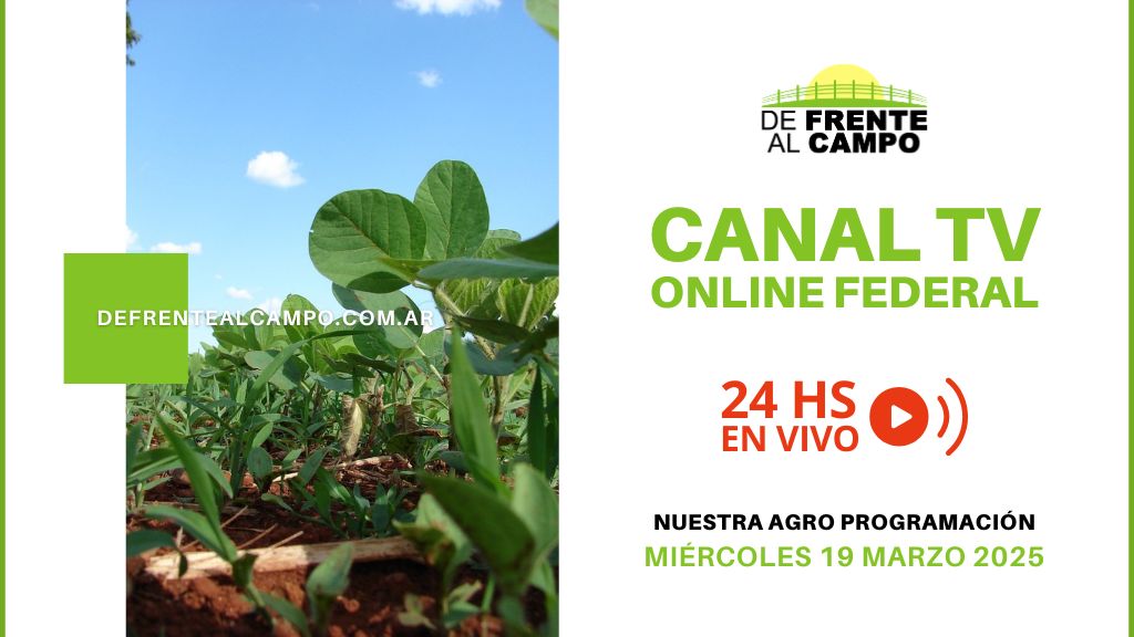 DFC – Canal 3 / Directv (Canal 139 L.P.) – Miércoles 19 / Marzo / 2025