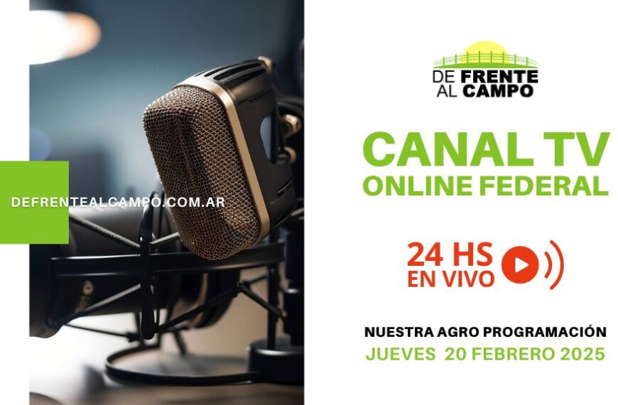 DFC – Canal 3 / Directv (Canal 139 L.P.) – jueves 20 / febrero / 2025
