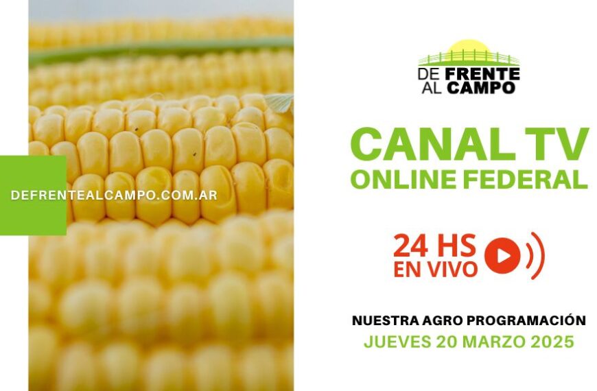 DFC – Canal 3 / Directv (Canal 139 L.P.) – Jueves 20 / Marzo / 2025