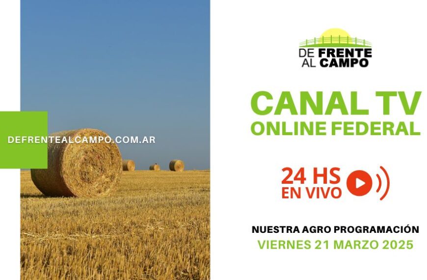 DFC – Canal 3 / Directv (Canal 139 L.P.) – Viernes 21 / Marzo / 2025