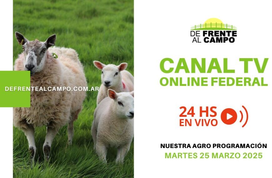 DFC – Canal 3 / Directv (Canal 139 L.P.) – Martes 25 / Marzo / 2025
