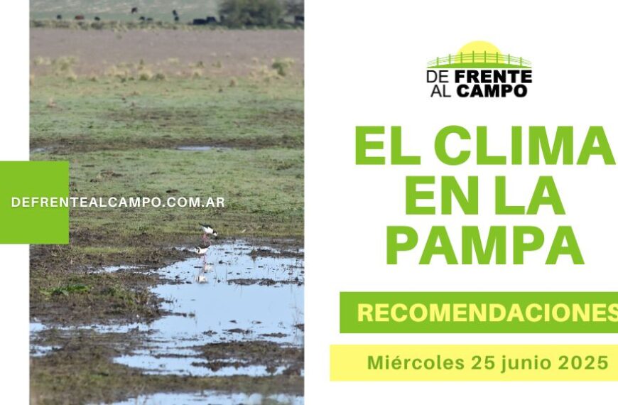 Viento con ráfagas de hasta 55 km/h, mínimas bajo cero y máxima de 14 °C: el clima en La Pampa golpea con un día seco pero áspero (Miércoles 25 de junio 2025)