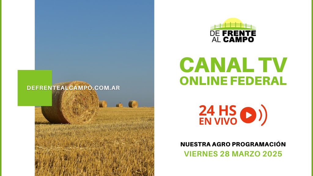 DFC – Canal 3 / Directv (Canal 139 L.P.) – Viernes 28 / Marzo / 2025