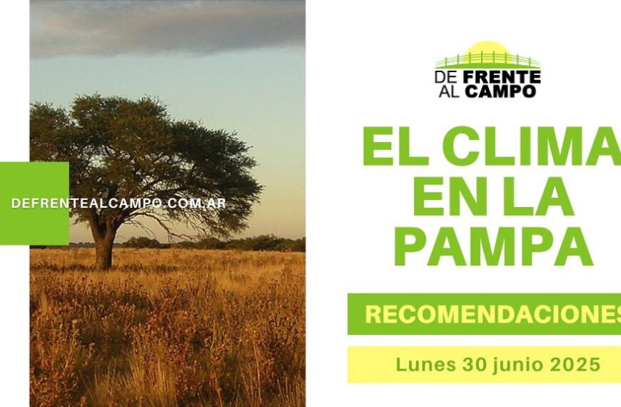 Lunes Polar en La Pampa: La Pampa Enfrenta Bajas Temperaturas de hasta -6 °C y Vientos Moderados Marcan la Jornada (30 de junio 2025)