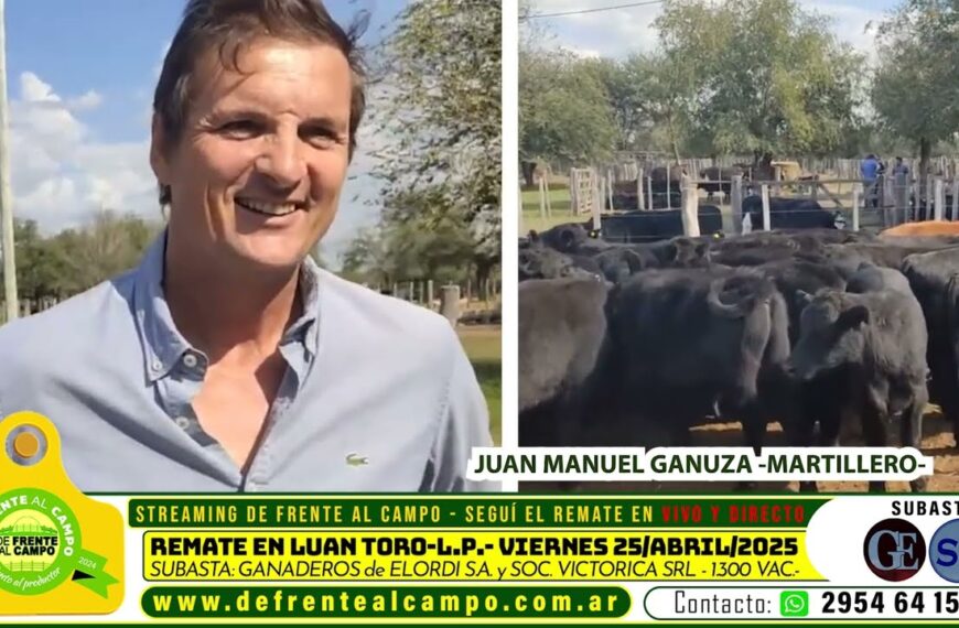 Entrevista: exitoso remate especial del ternero en Luan Toro con Ganaderos de Elordi S.A y Sociedad Victorica S.R.L.