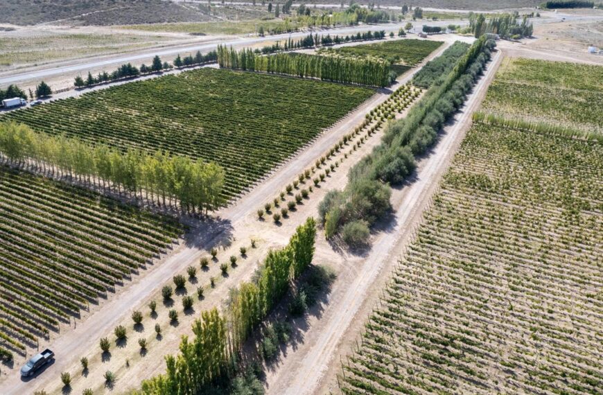 Casa de Piedra amplía su polo productivo: 1.095 hectáreas bajo riego estarán en producción para 2026
