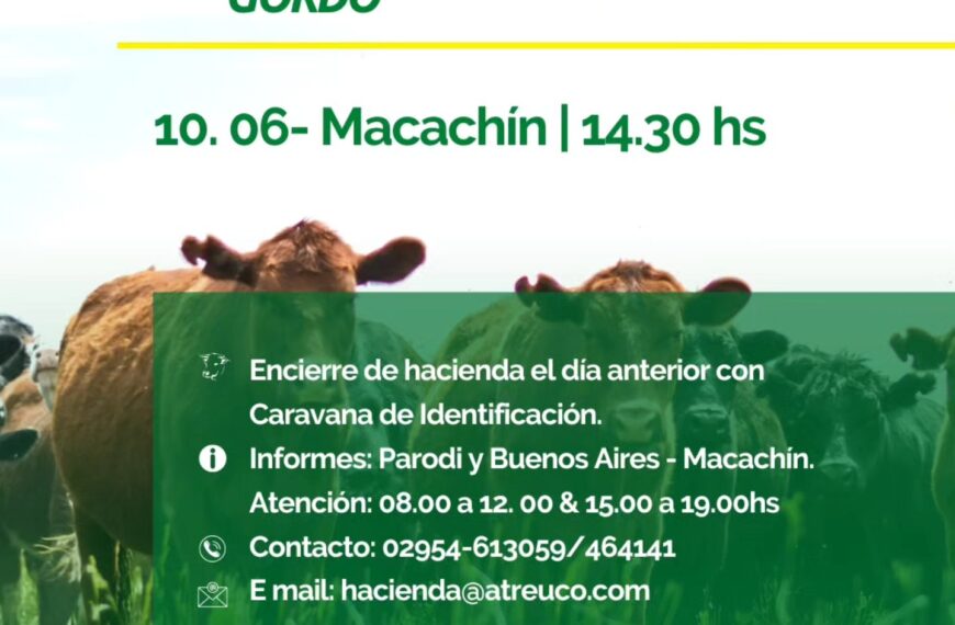 ATREU-CO | Macachín | Próximo Remate Feria el martes 10 de junio de 2025