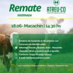 ATREU-CO | Macachín | Próximo Remate Feria el miércoles 18 de junio de 2025