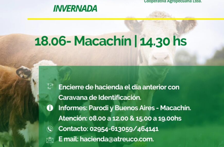 ATREU-CO | Macachín | Próximo Remate Feria el miércoles 18 de junio de 2025