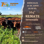 Brandemann Consignataria S.R.L. | Eduardo Castex, La Pampa | Próximo Remate Feria el miércoles 25 de junio de 2025