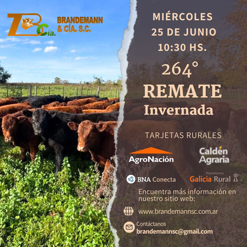 Brandemann Consignataria S.R.L. | Eduardo Castex, La Pampa | Próximo Remate Feria el miércoles 25 de junio de 2025