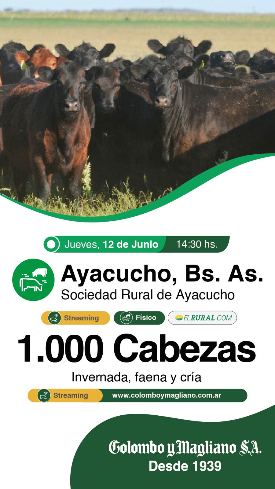 Colombo y Magliano S.A. | Ayacucho | Próximo Remate Feria el jueves 12 de junio de 2025
