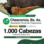 Colombo y Magliano S.A. | Chascomús, Bs. As. | Próximo Remate Feria el martes 24 de junio de 2025
